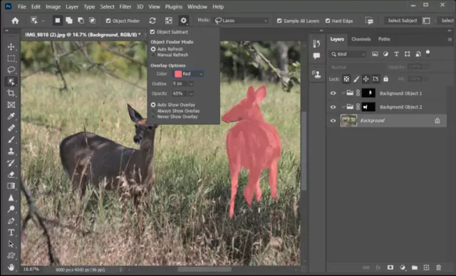 Adobe Photoshop 2025 Pre Activated