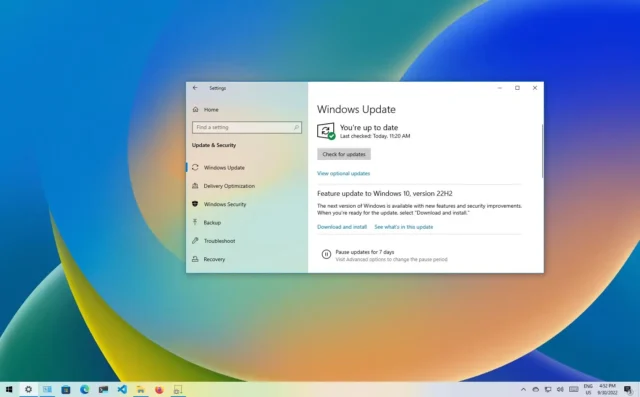 Windows 11 25H2 ISO file